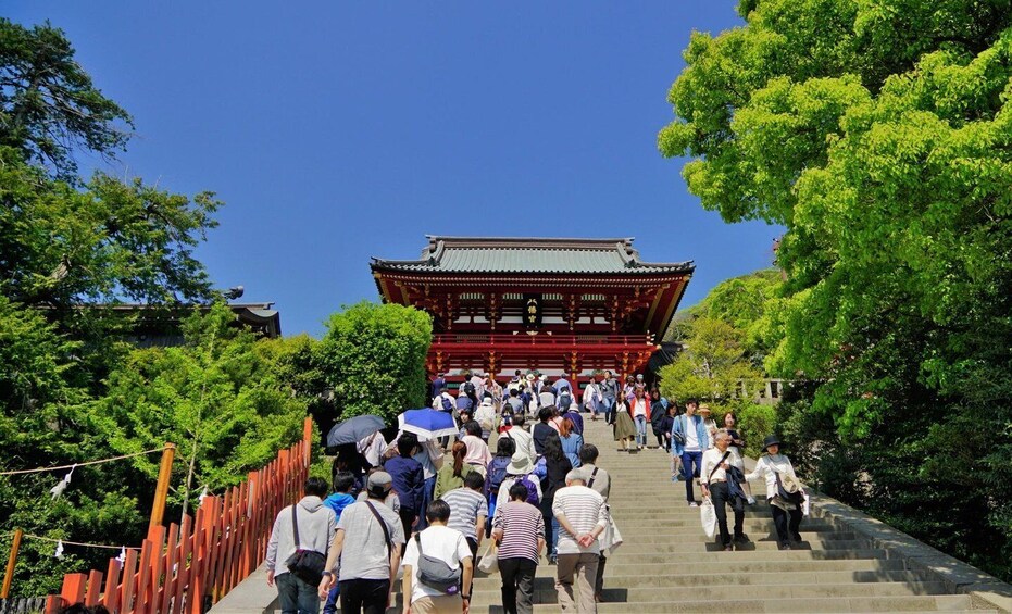 Picture 3 for Activity Kamakura Half Day Walking Tour with Local Experience