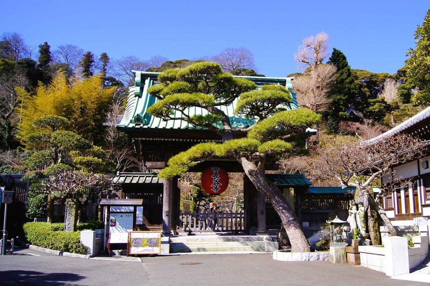 Picture 2 for Activity Kamakura Half Day Walking Tour with Local Experience