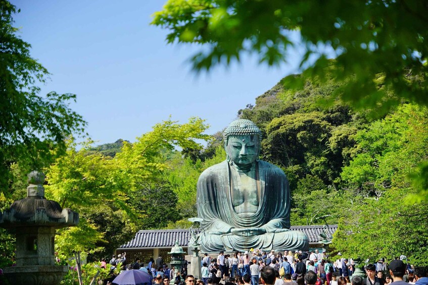 Picture 1 for Activity Kamakura Half Day Walking Tour with Local Experience