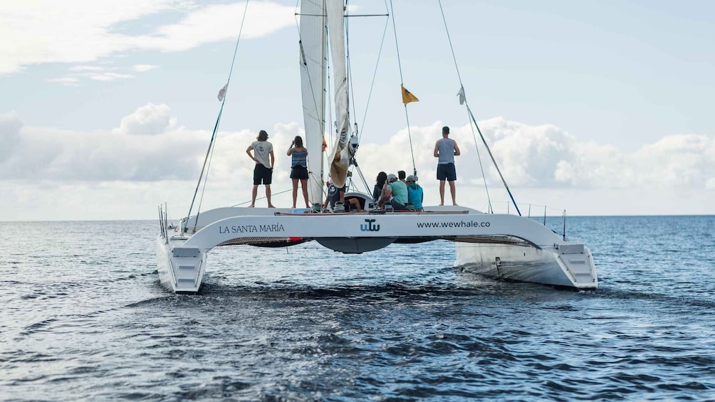 Picture 9 for Activity Lanzarote: Whale and Dolphin Watching Eco-Friendly Catamaran