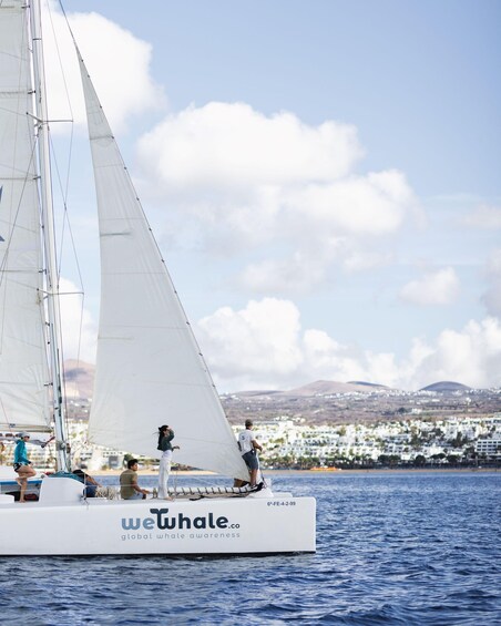 Picture 8 for Activity Lanzarote: Whale and Dolphin Watching Eco-Friendly Catamaran