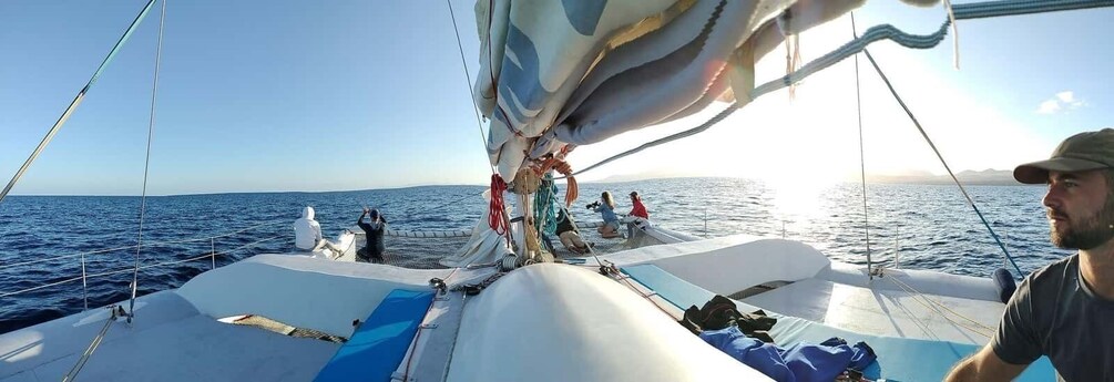 Picture 4 for Activity Lanzarote: Whale and Dolphin Watching Eco-Friendly Catamaran