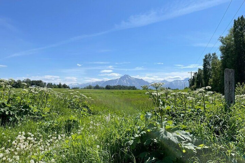 Matanuska Valley and Farm tour