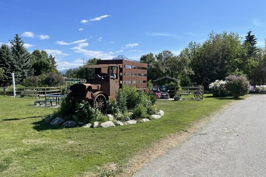 Matanuska Valley and Farm tour