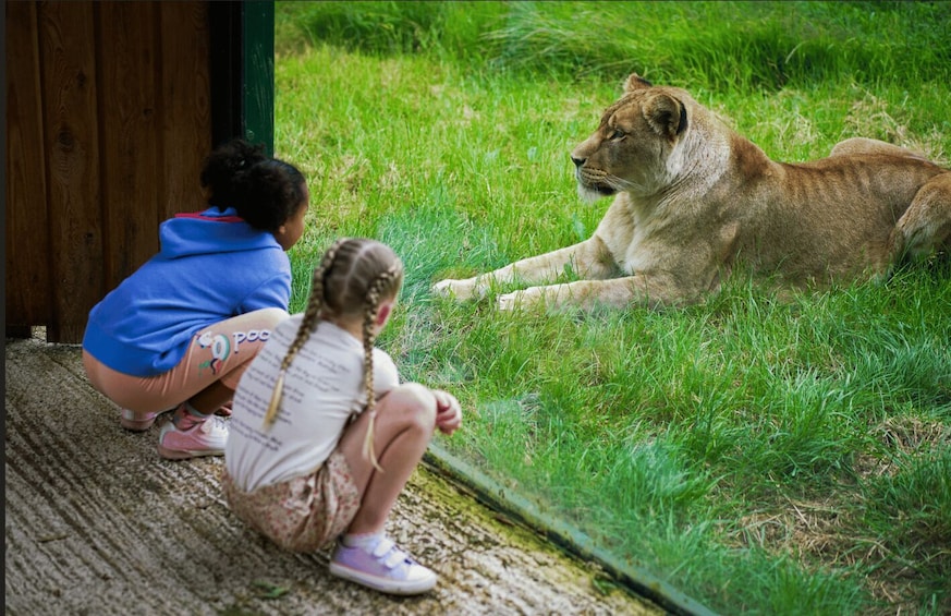 Picture 6 for Activity Blackpool: Zoo Admission Ticket