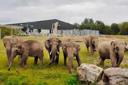 Blackpool: Zoo Admission Ticket