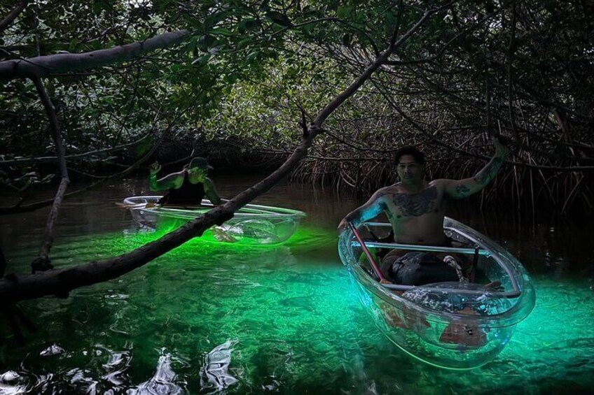 Guided Night Kayak Adventure Tour in Luminous Lagoon