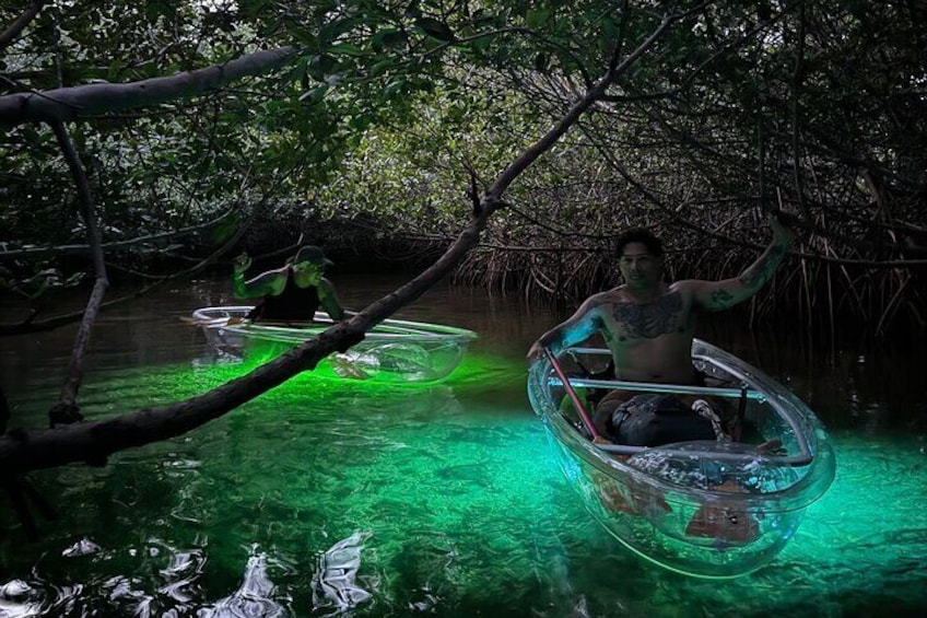 Guided Night Kayak Adventure Tour in Luminous Lagoon