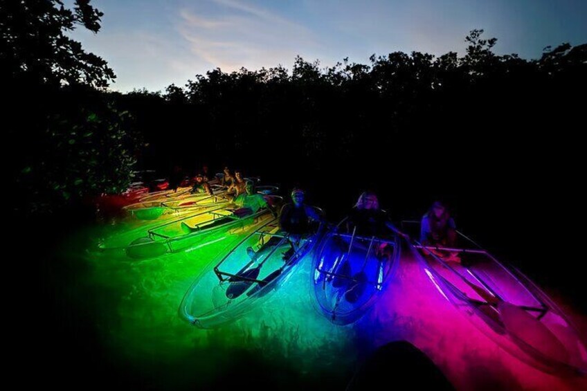 Guided Night Kayak Adventure Tour in Luminous Lagoon