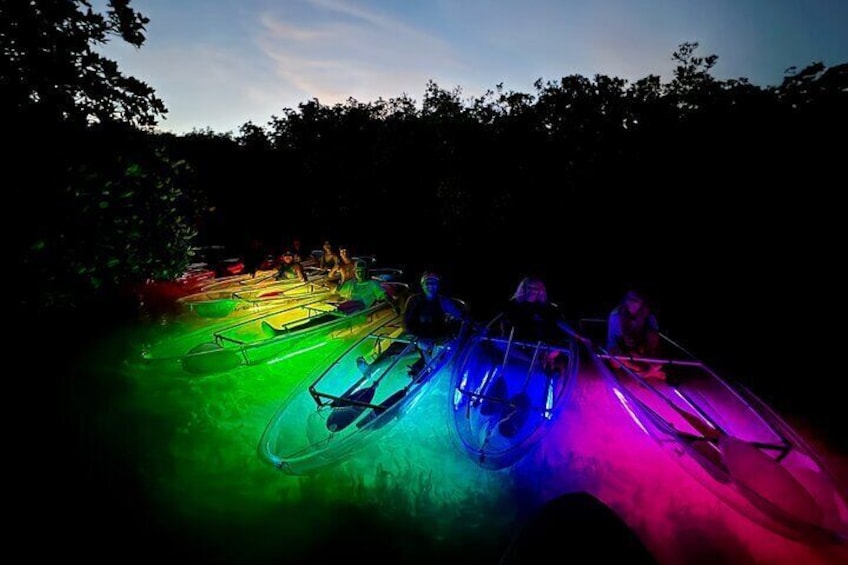 Guided Night Kayak Adventure Tour in Luminous Lagoon