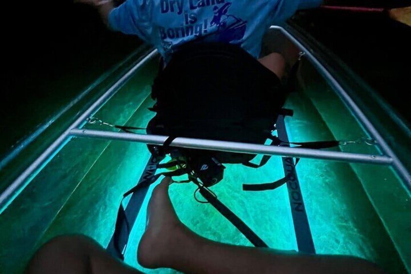 Guided Night Kayak Adventure Tour in Luminous Lagoon