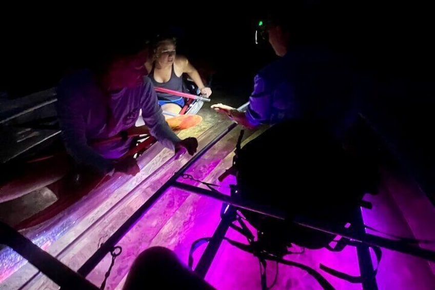 Guided Night Kayak Adventure Tour in Luminous Lagoon