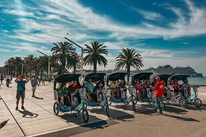 Split Tour in Private Electric Rickshaw