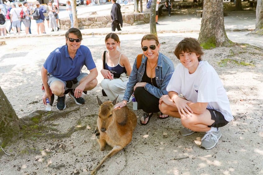 Picture 5 for Activity Hiroshima/Miyajima Private Custom Tour with Local Guide