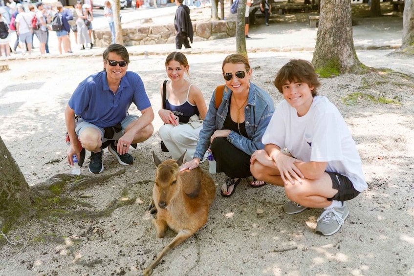 Picture 5 for Activity Hiroshima/Miyajima Private Custom Tour with Local Guide