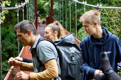 Monteverde: Guided Natural History Walk in Cloud Forest