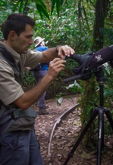 Picture 1 for Activity Monteverde: Guided Natural History Walk in Cloud Forest