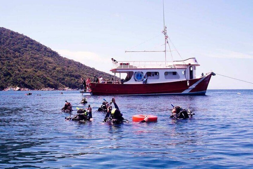 DIVING BATISMO ARVOREDO OU ESTALEIRO by Zimbros Ecotour