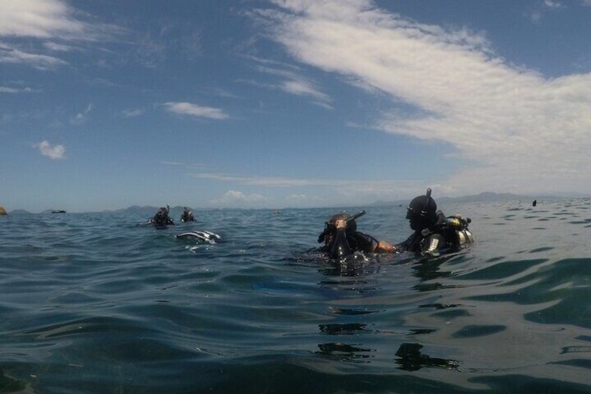 DIVING BATISMO ARVOREDO OU ESTALEIRO by Zimbros Ecotour