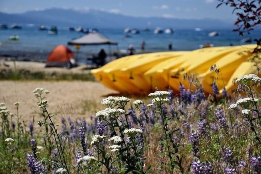 Lake Tahoe: North Shore Kayak OR Stand Up Paddleboard Rental