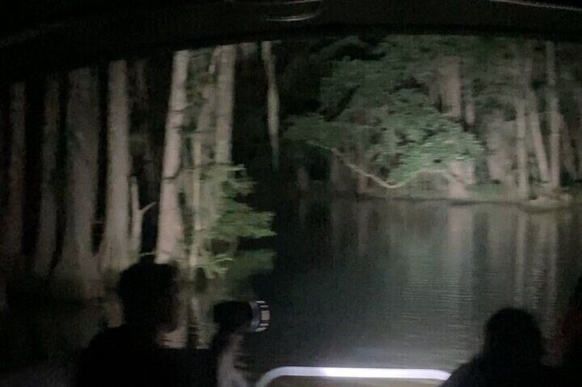 Night Time Bayou Booze Cruise Near New Orleans