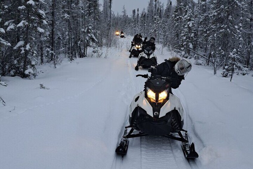 Guided Snowmobile Adventure