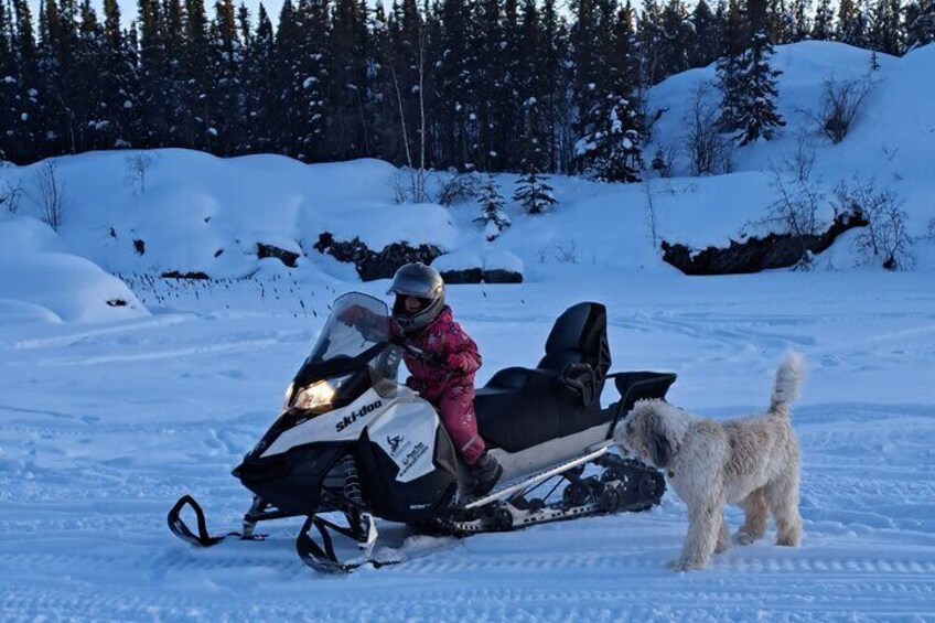 Girl and her best animal friend