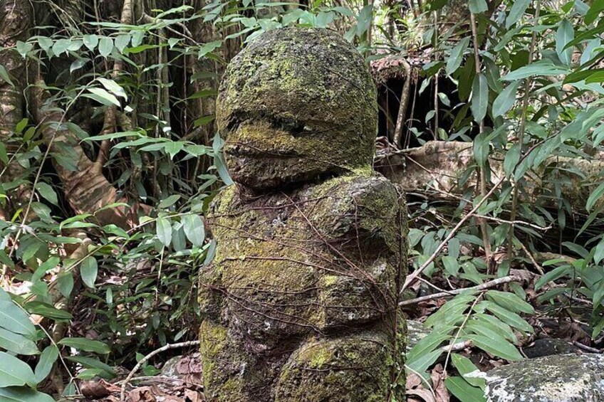 Adventurous Escape to Hakaui Valley