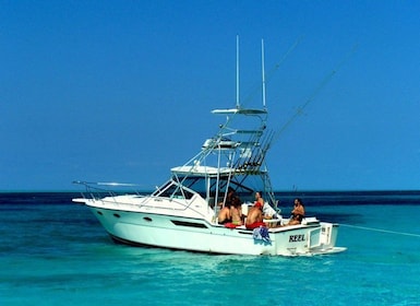 4 heures de pêche ou de plongée en apnée 38ft Tiara