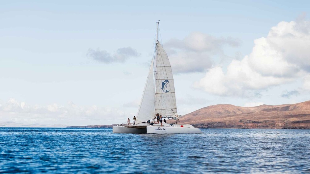 Lanzarote Sunset Experience with dolphin spotting