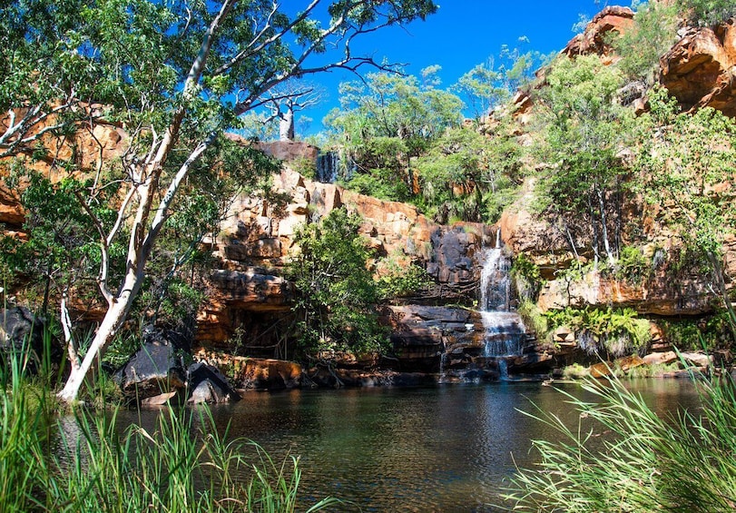 Picture 9 for Activity Broome to Darwin: 10 Day Kimberley Tour