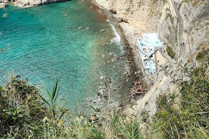 Tour Island of Ischia Earth and flavours (Giardini la Mortella)