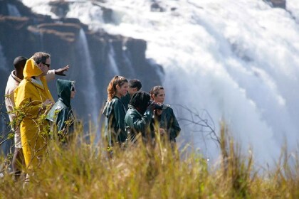 Experiencia definitiva en las cataratas: tour, abseil, natación y caminata