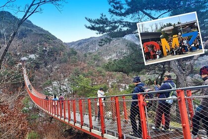 DMZ & Gondola & Suspension Bridge Full Day Tour From Seoul