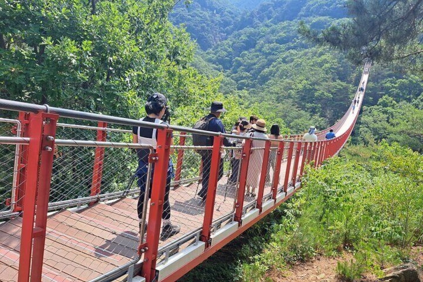 Suspension Bridge