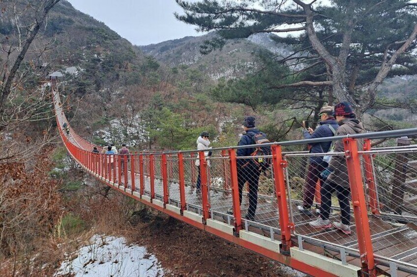 DMZ with Suspension Bridge