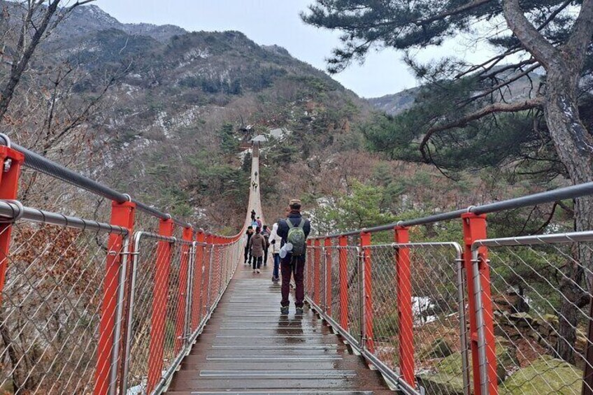 DMZ with Suspension Bridge