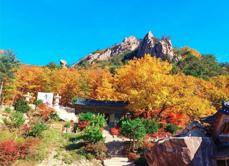 Picture 2 for Activity From Seoul: Seoraksan Maple Mountain with Cable Car