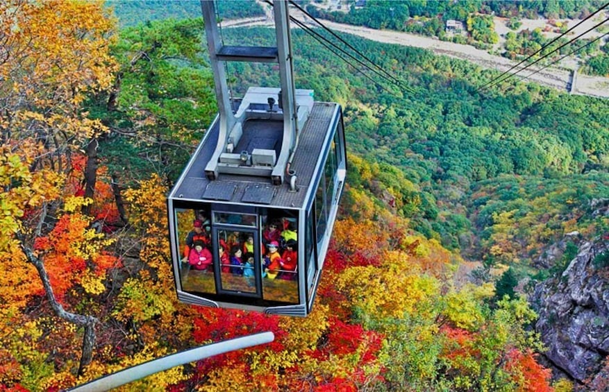 Picture 1 for Activity From Seoul: Seoraksan Maple Mountain with Cable Car