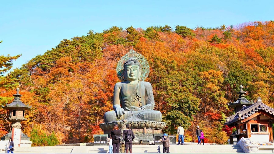 From Seoul: Seoraksan Maple Mountain with Cable Car