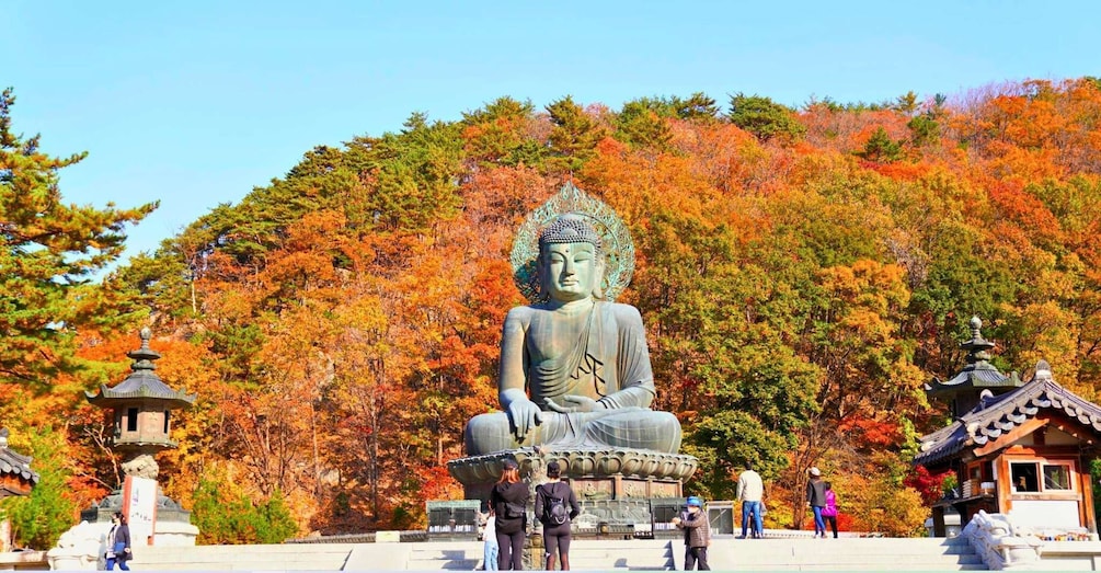 From Seoul: Seoraksan Maple Mountain with Cable Car