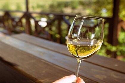 8 Hours Private Tour from Cape Winelands to Franchhoek