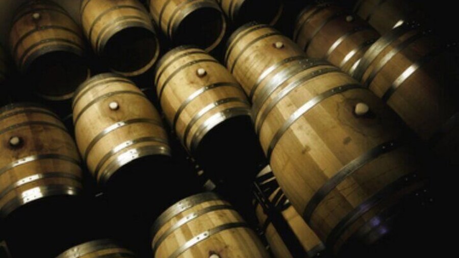 Guided tour of the winery and vineyards