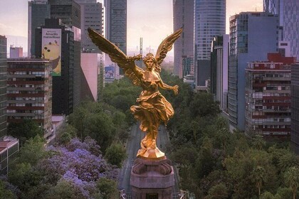 Recorrido en bicicleta por la Ciudad de México: Pedalea por monumentos hist...