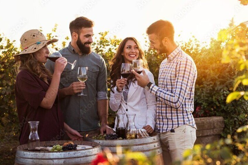 Wine tasting with friends