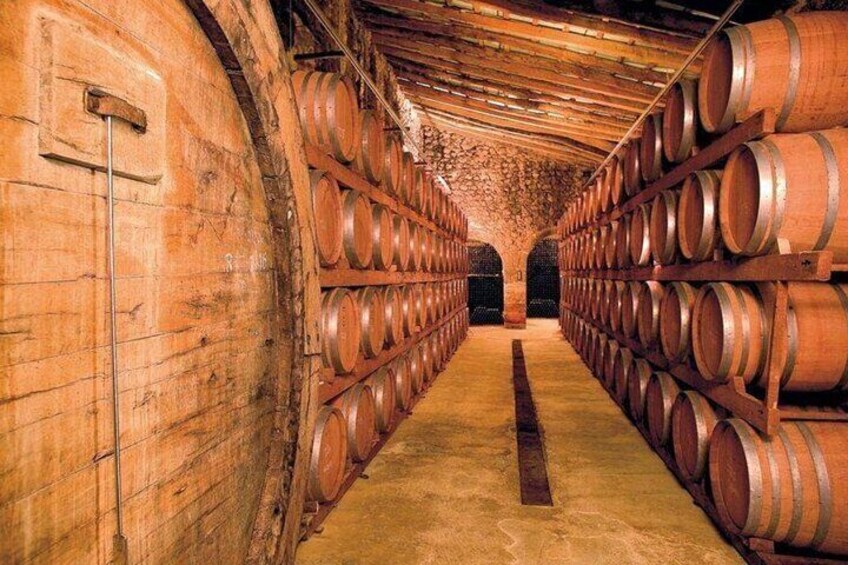 Private Wine Tour Experience in the Mallorcan Heartland