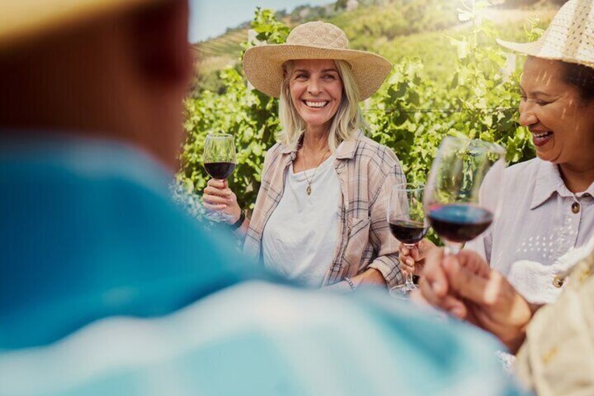 Tramuntana Private Tour & Majorcan Wine Tasting
