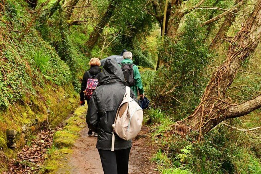 Paradise Valley Madeira Island Walk