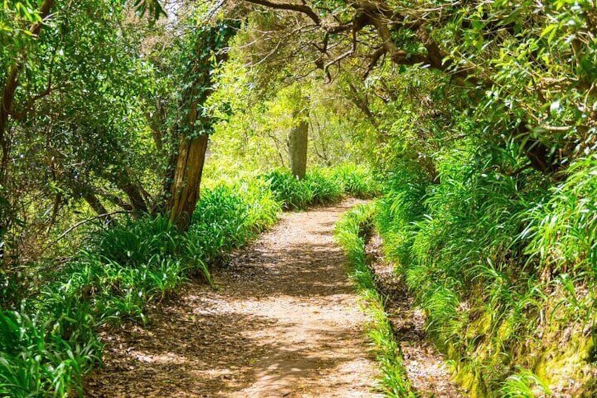 Paradise Valley Madeira Island Walk