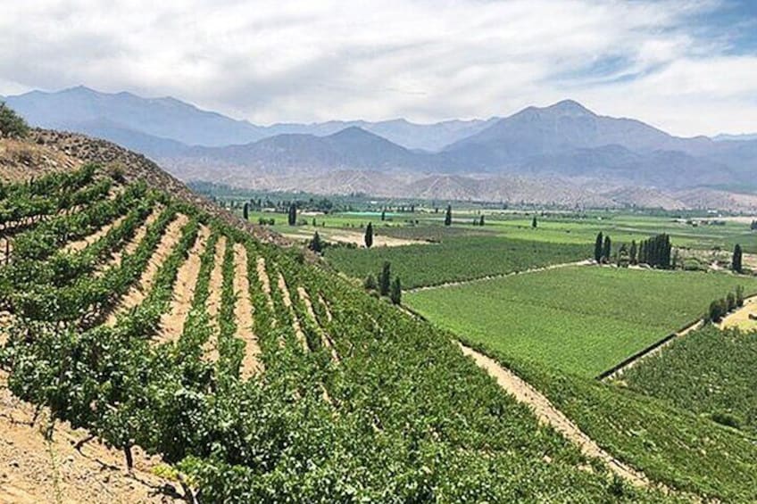 Portillo Andes Mountain Range with Inca Lagoon and Wine Tasting